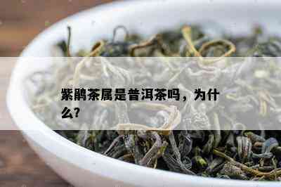 紫鹃茶属是普洱茶吗，为什么？