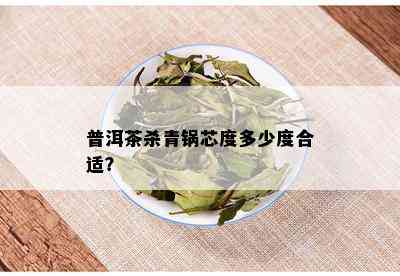 普洱茶杀青锅芯度多少度合适？