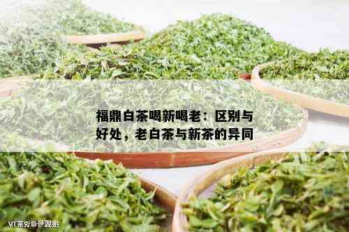 福鼎白茶喝新喝老：区别与好处，老白茶与新茶的异同