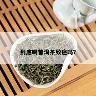 到底喝普洱茶致癌吗？