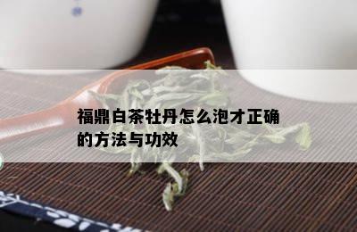 福鼎白茶牡丹怎么泡才正确的方法与功效