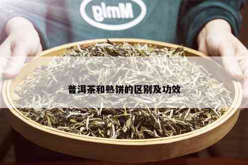 普洱茶和熟饼的区别及功效