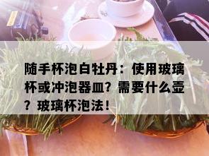 随手杯泡白牡丹：使用玻璃杯或冲泡器皿？需要什么壶？玻璃杯泡法！