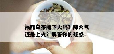 福鼎白茶能下火吗？降火气还是上火？解答你的疑惑！