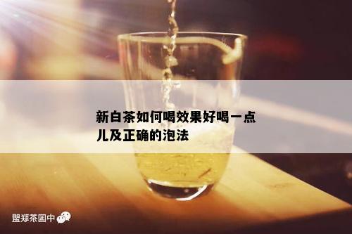 新白茶如何喝效果好喝一点儿及正确的泡法