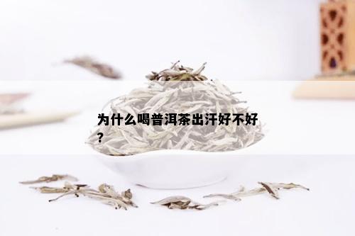 为什么喝普洱茶出汗好不好?