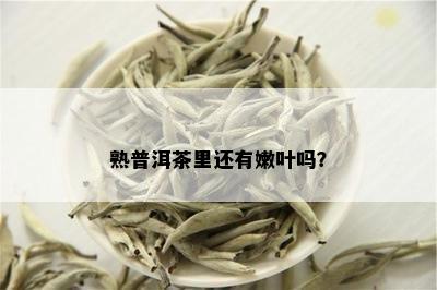 熟普洱茶里还有嫩叶吗？