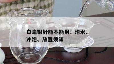 白毫银针能不能用：泡水、冲泡、放置须知