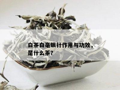 白茶白毫银针作用与功效，是什么茶？