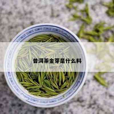 普洱茶金芽是什么料