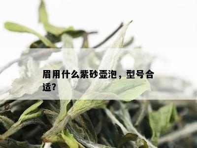 眉用什么紫砂壶泡，型号合适？