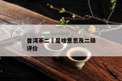 普洱茶二蓋是啥意思及二级评价