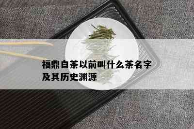 福鼎白茶以前叫什么茶名字及其历史渊源