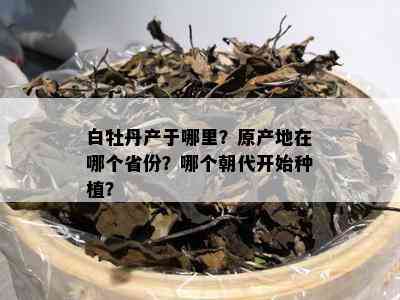 白牡丹产于哪里？原产地在哪个省份？哪个朝代开始种植？