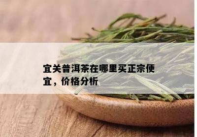 宜关普洱茶在哪里买正宗便宜，价格分析