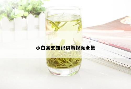 小白茶艺知识讲解视频全集