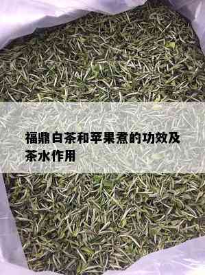 福鼎白茶和苹果煮的功效及茶水作用