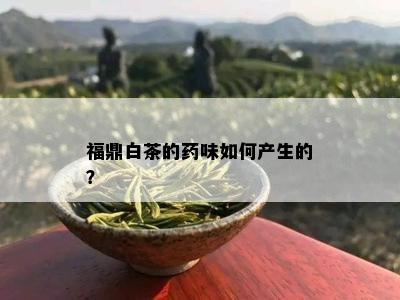 福鼎白茶的味如何产生的？