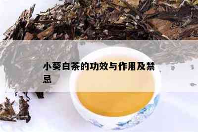 小葵白茶的功效与作用及禁忌