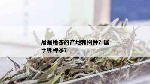 眉是啥茶的产地和树种？属于哪种茶？