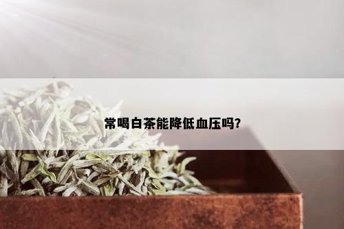 常喝白茶能降低血压吗？