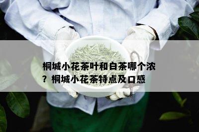 桐城小花茶叶和白茶哪个浓？桐城小花茶特点及口感