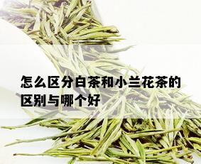 怎么区分白茶和小兰花茶的区别与哪个好