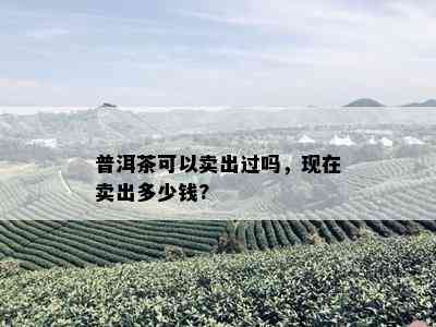 普洱茶可以卖出过吗，现在卖出多少钱?