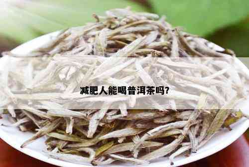 减肥人能喝普洱茶吗？