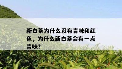 新白茶为什么没有青味和红色，为什么新白茶会有一点青味？