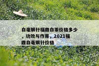 白毫银针福鼎白茶价格多少，功效与作用，2021福鼎白毫银针价格