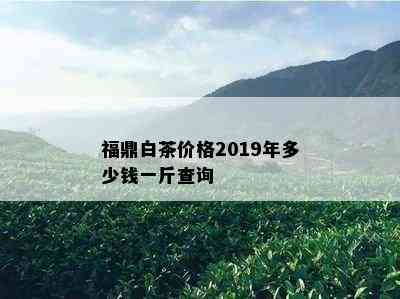 福鼎白茶价格2019年多少钱一斤查询