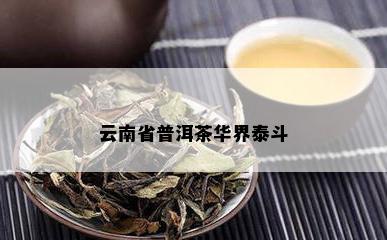 云南省普洱茶华界泰斗