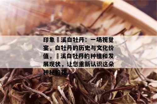 印象磻溪白牡丹：一场视觉宴，白牡丹的历史与文化价值，磻溪白牡丹的种植和发展现状，让您重新认识这朵神秘的花。