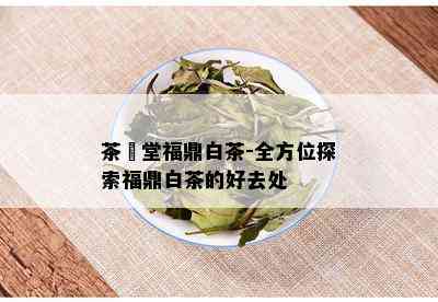 茶燊堂福鼎白茶-全方位探索福鼎白茶的好去处