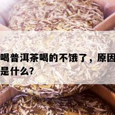 喝普洱茶喝的不饿了，原因是什么？