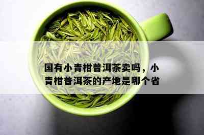 国有小青柑普洱茶卖吗，小青柑普洱茶的产地是哪个省