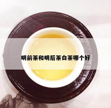 明前茶和明后茶白茶哪个好