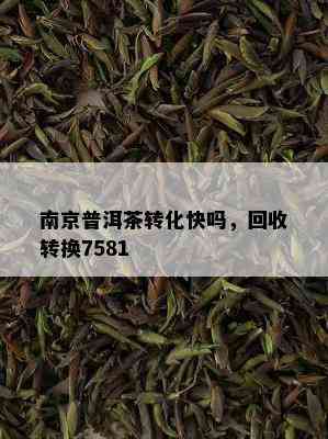 南京普洱茶转化快吗，回收转换7581