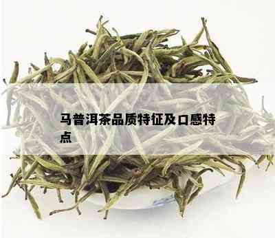 马普洱茶品质特征及口感特点