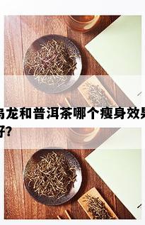 乌龙和普洱茶哪个瘦身效果好？