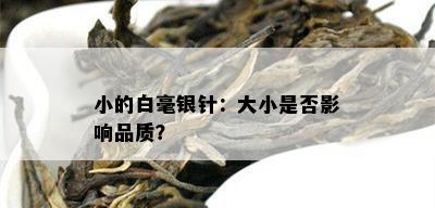 小的白毫银针：大小是否影响品质？