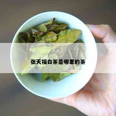 张天福白茶是哪里的茶