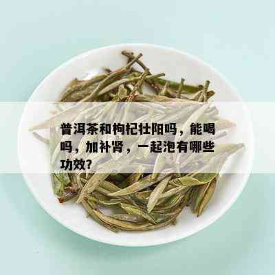 普洱茶和枸杞壮阳吗，能喝吗，加补肾，一起泡有哪些功效？