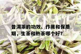 普洱茶的功效、作用和保质期，生茶和熟茶哪个好？