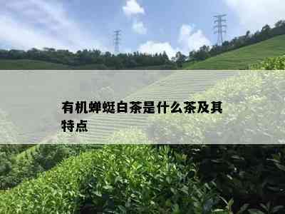 有机蝉蜓白茶是什么茶及其特点