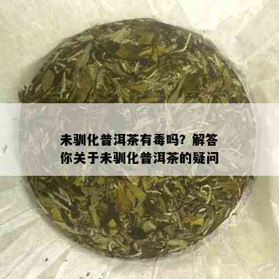 未驯化普洱茶有吗？解答你关于未驯化普洱茶的疑问