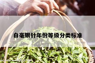 白毫银针年份等级分类标准