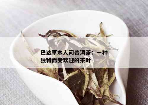 巴达草木人间普洱茶：一种独特而受欢迎的茶叶