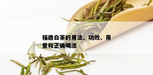 福鼎白茶的用法、功效、用量和正确喝法